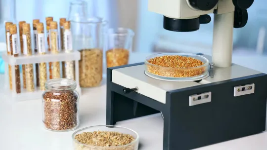 ingenieria-alimentos