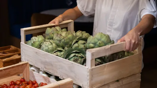 innovacion-sostenible