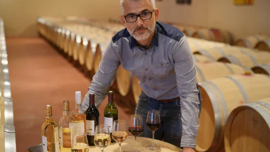 legislacion-del-vino