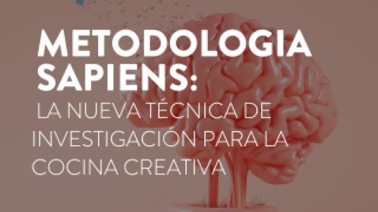metodologia sapiens