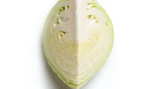 comida organica