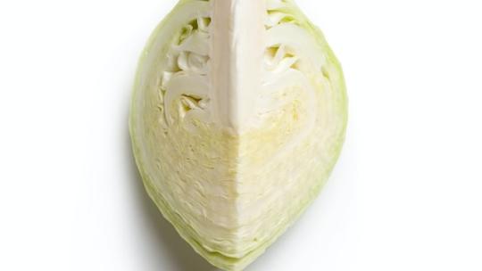 comida organica