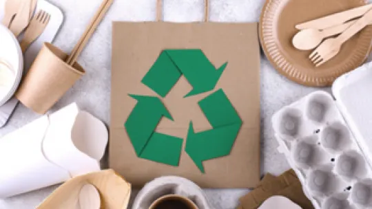 Packaging ecologico