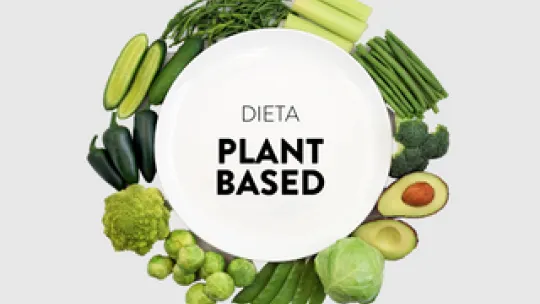 PLANT BASED