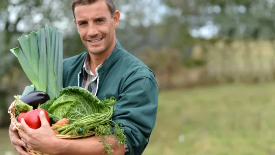 premios sol sostenibilidad