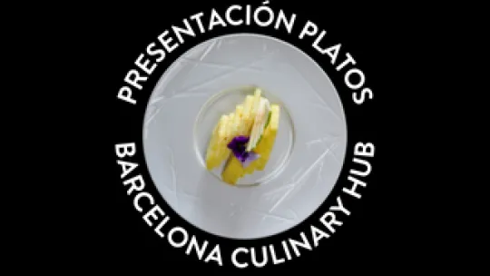 blog card: presentacion platos