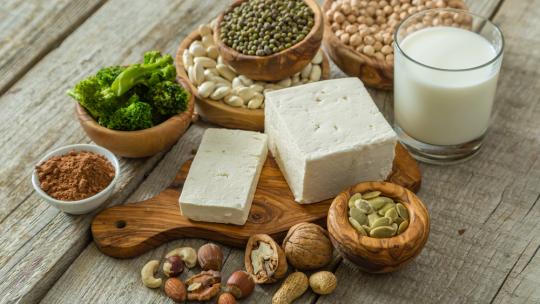 proteina-vegetal