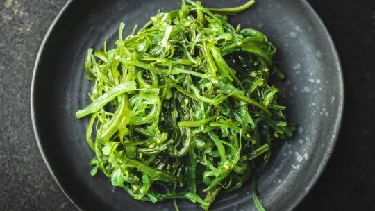 proteínas-alternativas