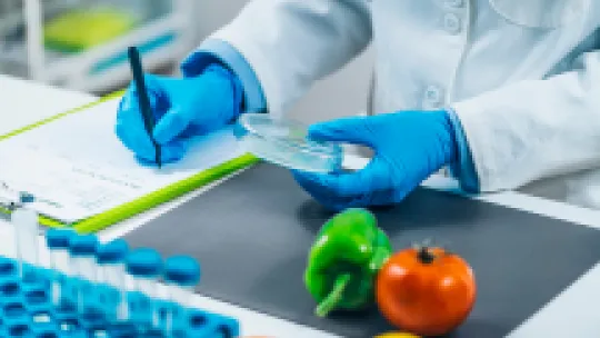 microbiología alimentaria