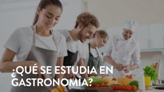 qué se_estudia_en_gastronomía.png (102.97 KB)