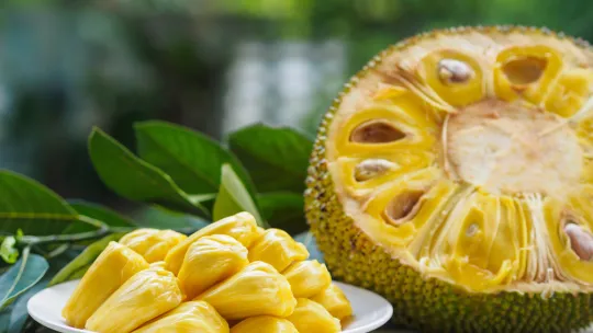 que-es-jackfruit
