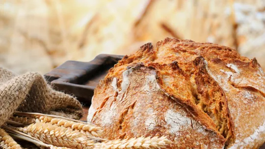 reaccion de maillard