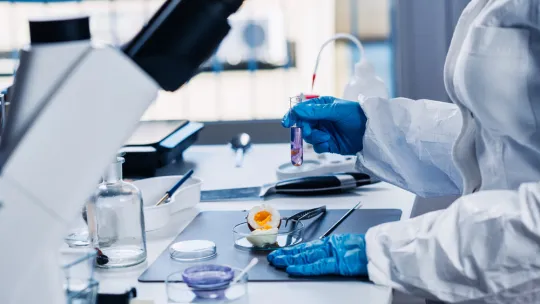 técnico de calidad alimentaria