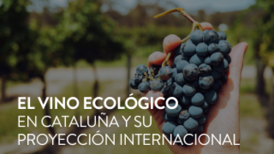 vino ecologico