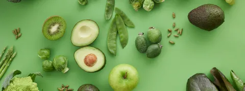 imagen ciclo superior dietética coaching nutricional