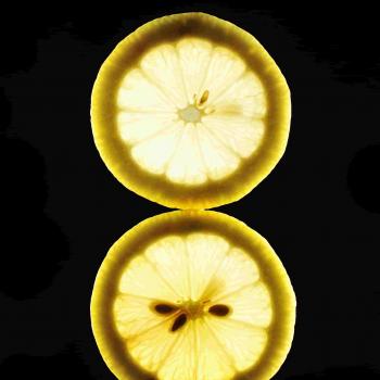BCH - Limones