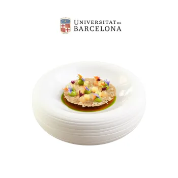 master cocina vegetariana