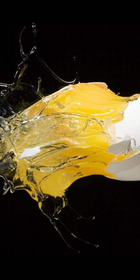 egg-barcelona-culinary-hub