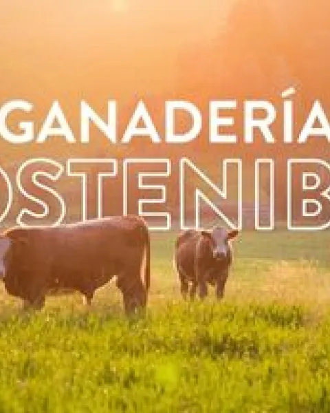 Ganaderia sostenible
