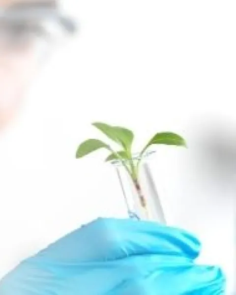 Cocina y Ciencia