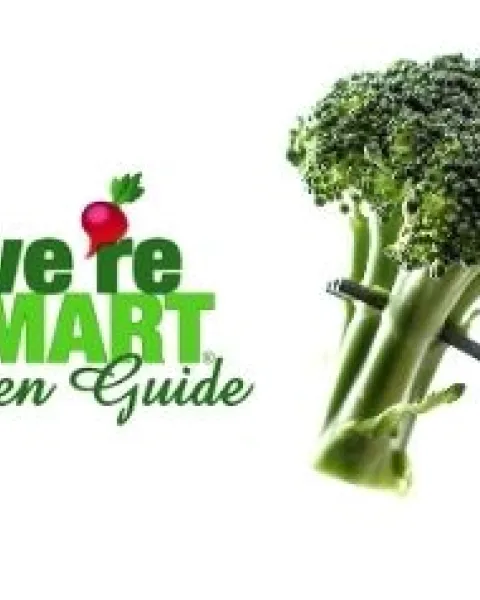 Blog: We're smart green
