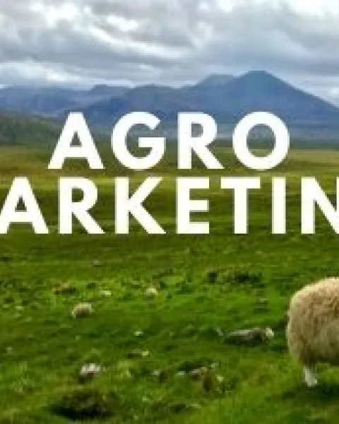 BLOG; AgroMarketing - JUN 21