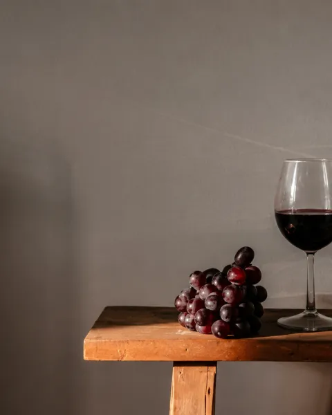 vinos-veganos