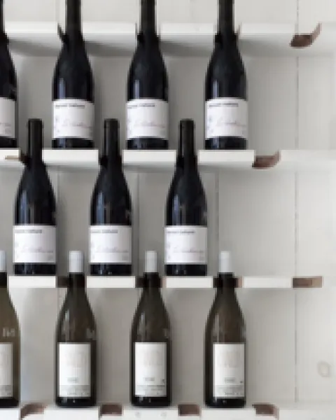 Máster vino