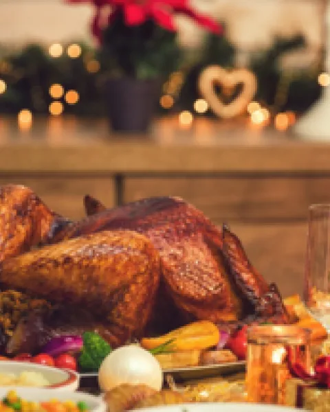 Navidad + Máster Nutri
