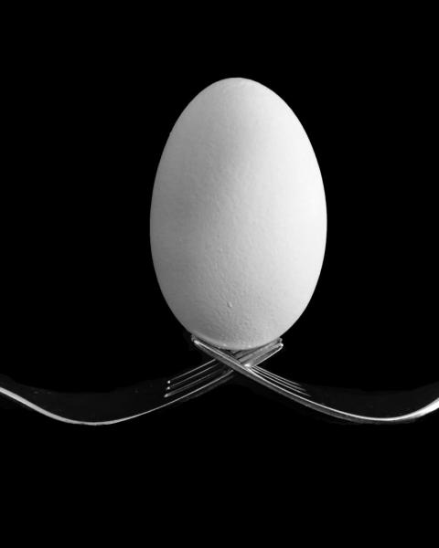 Dirección e Innovación en la alta cocina