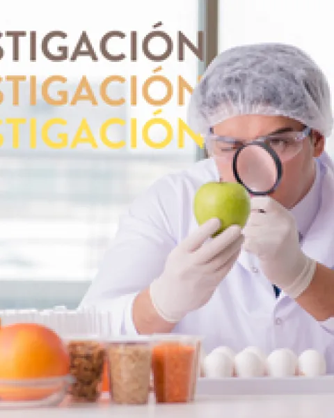 investigación