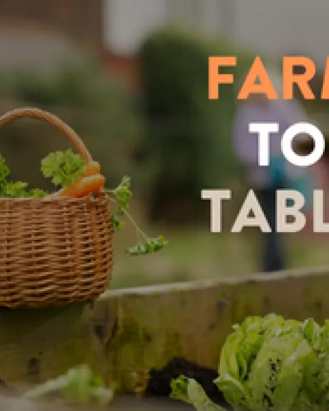 farm