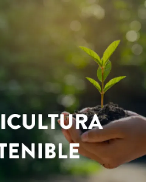 agriculuta_sostenible