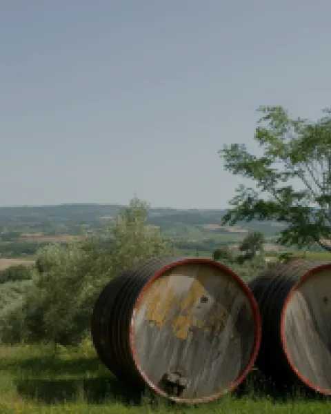 VINO CATALUNYA