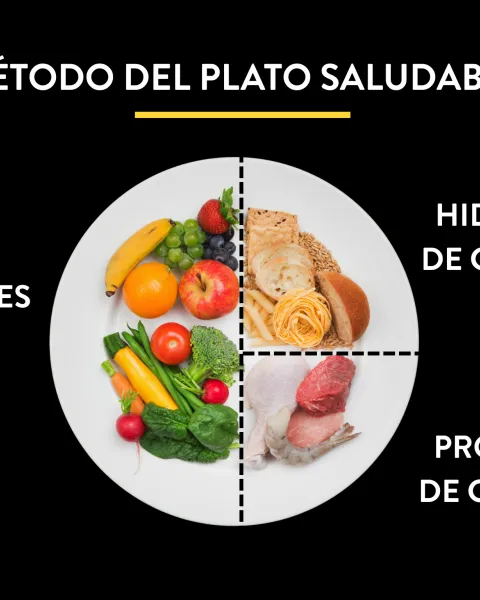 método-plato-saludable