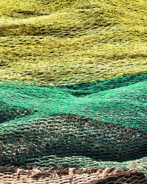 Red Pesca - Print