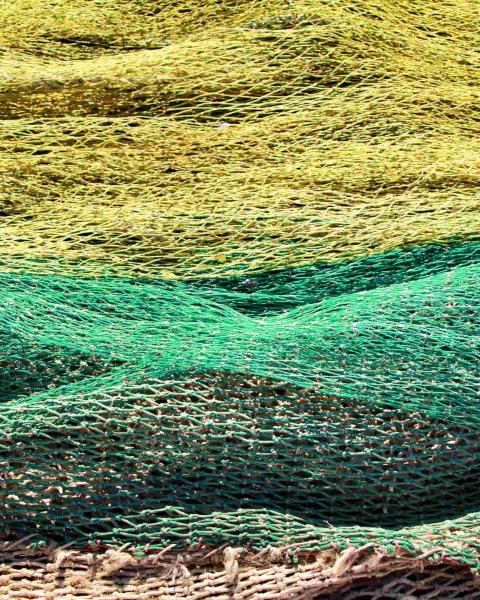 Red Pesca - Print