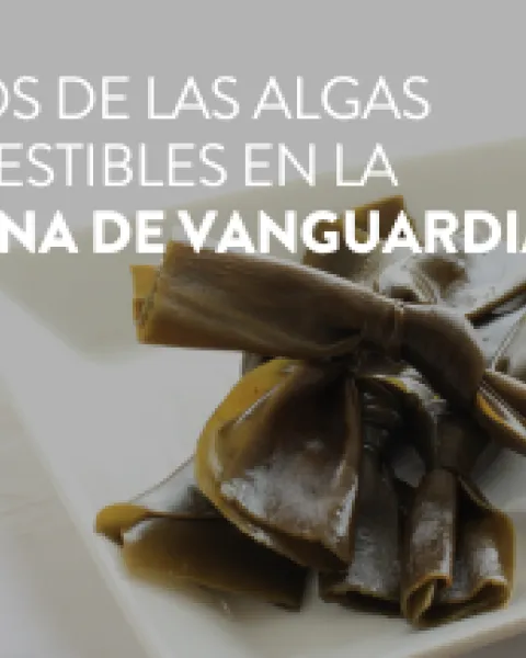 algas comestibles