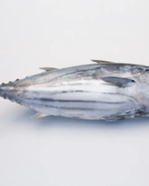 ATUN