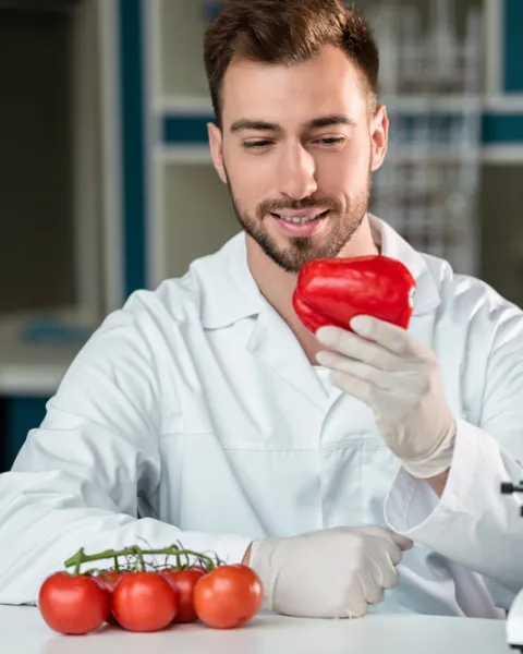 biotecnologia-alimentaria