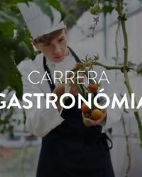 BLOG;CARRERA GASTRONOMIA