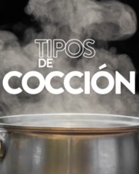 Tipos_de_coccion