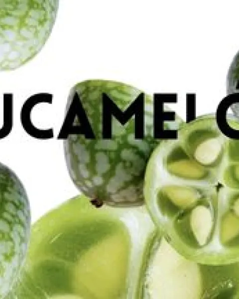 cucamelon