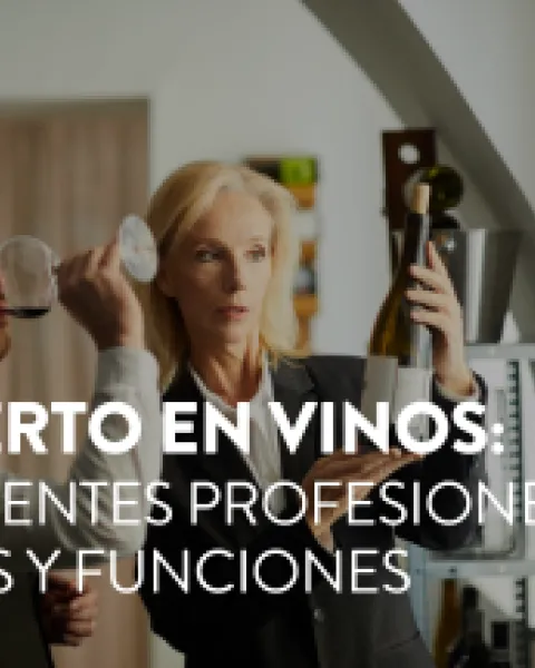experto_en_vinos