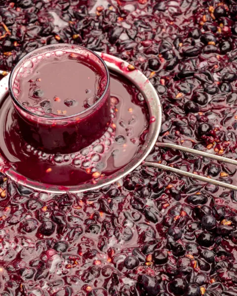 Fermentación del vino