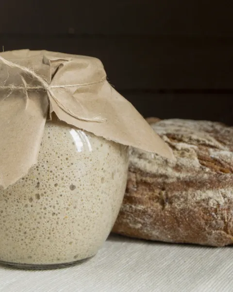 fermentación-del-pan