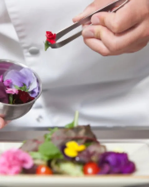flores comestibles