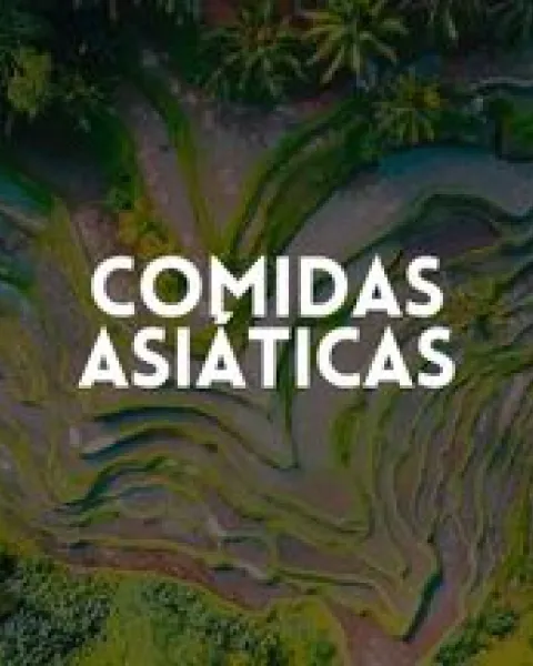 COMIDA ASIATICA