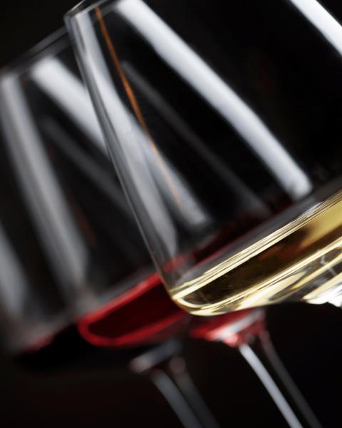 cata vinos 1 - hero content