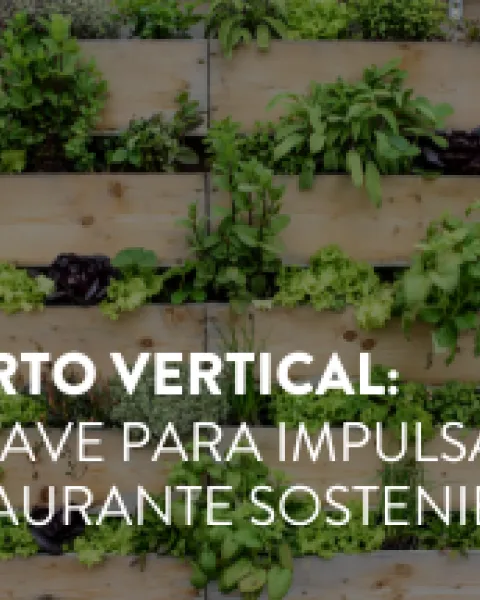 huerto_vertical